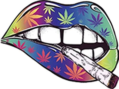 Тази симпатична Фигура на устните Боя От марихуана - Дъгова Vinyl Стикер (ширина 4 инча)