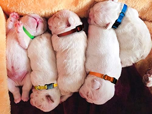 Puppy ID Collar - Регулируеми Идентификационни Яки за новородени кучета и котки, Сверхмягкие Найлонови Безопасни Яки