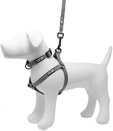 Комплект Pawtitas Value Пакет | Среден Стъпка в Кучешки изделия + Нашийник за кучета средни + Каишка за кучета, среден