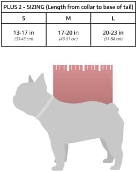 Спортна чанта K9 | Регулируем раница за носене на кучета (Голям плюс 2 - светло сив)