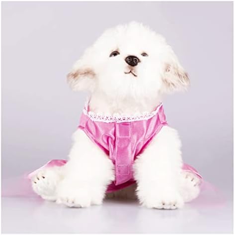 Грецкая Орех, Дрехи за малки кучета, рокля на принцеса за голям грах, Пролетно-летен костюм (Цвят: C Размер: XS Код)
