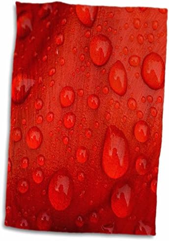 3D Роза отблизо с капки дъжд върху хавлиена Кърпа за ръце във вид на Листенца от Червено лале, 15 x 22